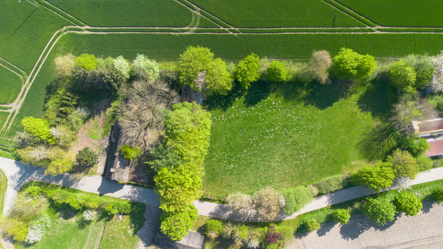 Drohnenaufnahme - Bild 2